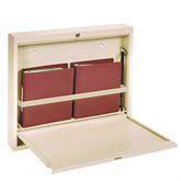 Full-Size Wall Desk Full-Size Wall Desk • 30"W x 4"D x 23.75"H ,1 Each - Axiom Medical Supplies