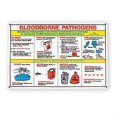 Bloodborne Pathogens Poster Bloodborne Pathogens Poster ,1 Each - Axiom Medical Supplies