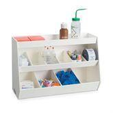 MarketLab Fixed Benchtop Organizers 10 Bins and 1 Shelf • 24"W x 10.8"D x 16"H ,1 Each - Axiom Medical Supplies