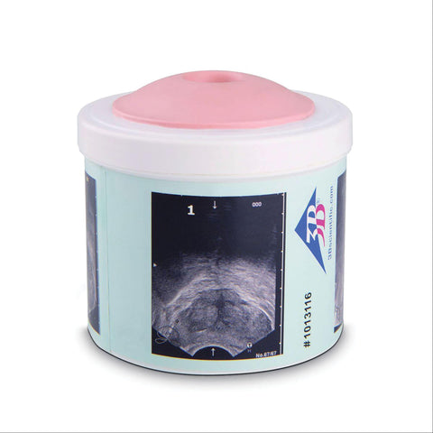 Men's Health Prostate Examination Trainer Prostate Examination Trainer • 4 Stages ,1 Each - Axiom Medical Supplies