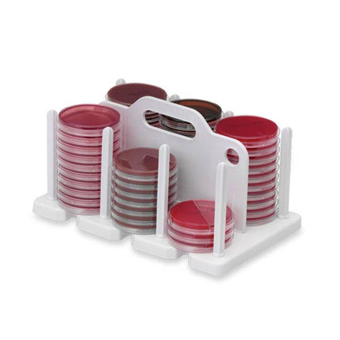 Molded 100mm Plate Rack Molded 100mm Plate Rack • 13"L x 8"W x 7"H ,1 Each - Axiom Medical Supplies