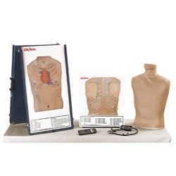 Nasco Auscultation Training Station Mannequin Deluxe Life/Form®