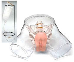 Nasco Transparent Female Catheter Model Female