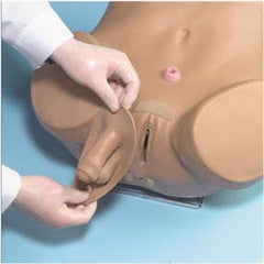 Nasco Advanced Patient Care Male and Female Catheterization Simulator