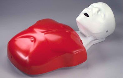 Nasco CPR Mannequin Basic Buddy™ Non-Gender Specific Adult / Child