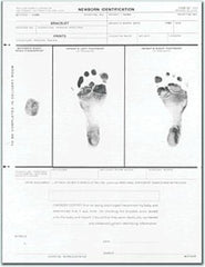 Precision Dynamics Healthcare Form PDC® Newborn Identification Form 8-1/2 X 11 Inch