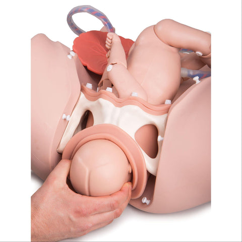PRO Birthing Simulator PRO Birthing Simulator ,1 Each - Axiom Medical Supplies