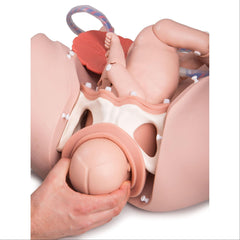 PRO Birthing Simulator PRO Birthing Simulator ,1 Each - Axiom Medical Supplies