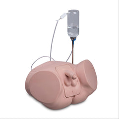 PRO Catheterization Simulators Female and Male Set ,1 Each - Axiom Medical Supplies