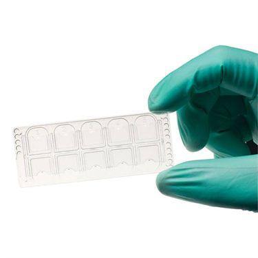 Quick Read Precision Cell Urinalysis Slide Quick-Read Precision Cell Urinalysis Slide ,100 per Paxk - Axiom Medical Supplies