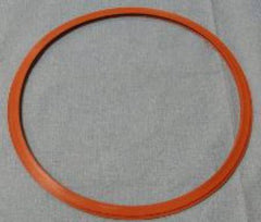 Steris Door Gasket