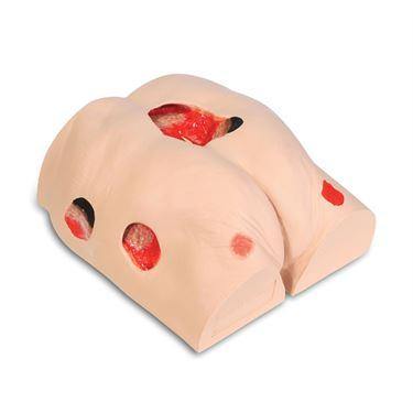 Seymour-II-Wound-Care-Model-DTPI-Trainer Seymour II Wound Care Model ,1 Each - Axiom Medical Supplies