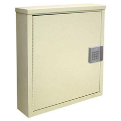 Single Door Narcotics Cabinet with E-Lock 8"D Unit • 16"W x 8"D x 16.75"H ,1 Each - Axiom Medical Supplies