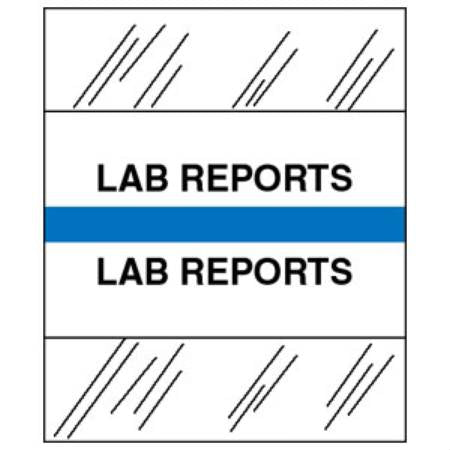 Tabbies Index Tab 1 1/4 Inch Lab Reports