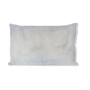 Taylor Healthcare Products Inc DISPOSABLE PILLOWS 13 X 18 10/CS - M-1078614-530 - Case of 10