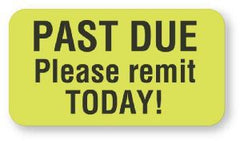 United Ad Label Pre-Printed Label UAL™ Instructional Label Green Paper Past Due Please Remit Today Black Patient Information 7/8 X 1-5/8 Inch - M-647895-1766 - Roll of 1