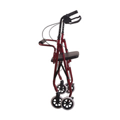 Ultra Lightweight Aluminum Rollator AM-501-1012-4100