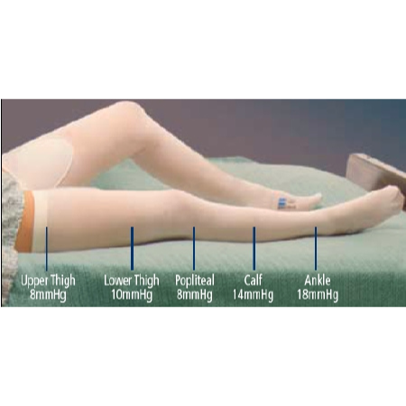 Cardinal Anti-embolism Stocking T.E.D.™ Thigh High X-Large / Long White Inspection Toe - M-637547-456 - CT/6