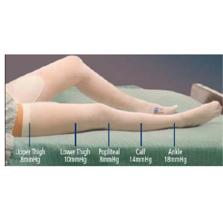 Cardinal Anti-embolism Stocking T.E.D.™ Thigh High 2X-Large / Short White Inspection Toe - M-637548-2574 - CT/6