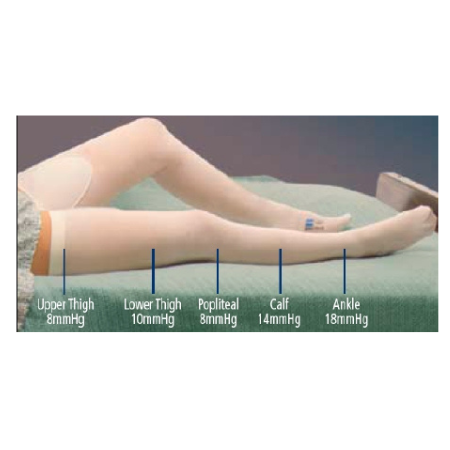 Cardinal Anti-embolism Stocking T.E.D.™ Thigh High 2X-Large / Long White Inspection Toe - M-638934-564 - Pair