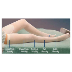 Cardinal Anti-embolism Stocking T.E.D.™ Thigh High X-Large / Regular White Inspection Toe - M-637546-4377 - CT/6