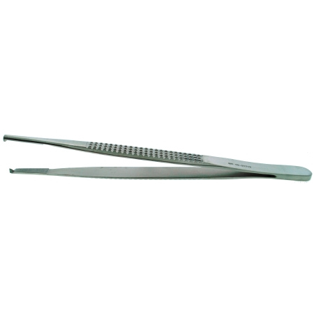 BR Surgical Tissue Forceps BR Surgical Bonney 7 Inch Length Surgical Grade Stainless Steel NonSterile NonLocking Thumb Handle Straight 1 X 2 Teeth - M-833440-4790 - Each