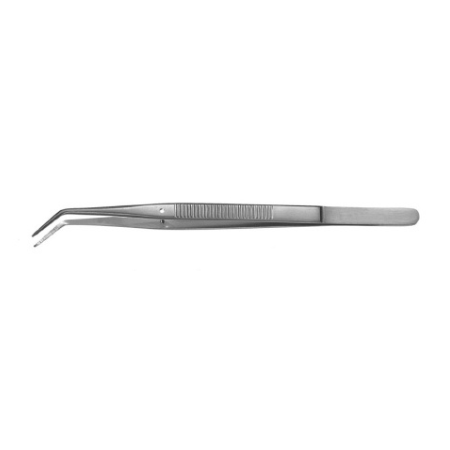 Miltex Dental Forceps Padgett® Thrackray 6 Inch Length Surgical Grade Stainless Steel NonSterile NonLocking Thumb Handle Angled Serrated Jaws - M-843099-1603 - Each