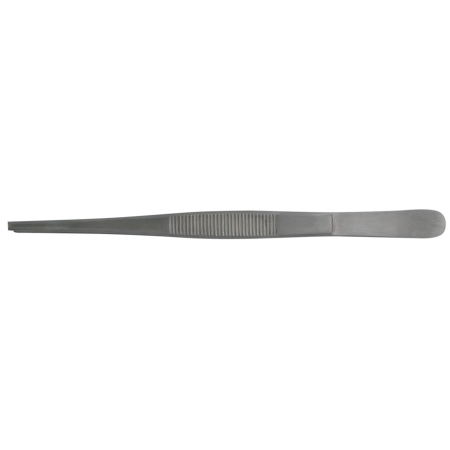 BR Surgical Tissue Forceps BR Surgical 10 Inch Length Surgical Grade Stainless Steel NonSterile NonLocking Thumb Handle Straight 1 X 2 Teeth - M-710272-3021 - Each