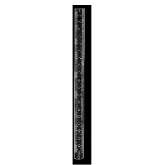BR Surgical Ruler Stainless Steel 12 Inch / 30 cm - M-494923-4750 - Each