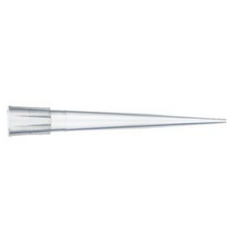Fisher Scientific Pipette Tip Finntip™ 0.5 to 250 µL Sterile - M-561584-1849 - Box of 960