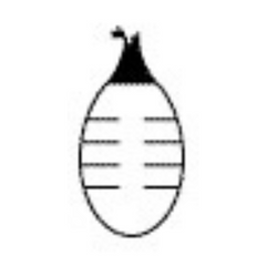 J & J Healthcare Systems Bulb Evacuator Drainage J-Vac 100 mL - M-153565-1811 | Case of 10