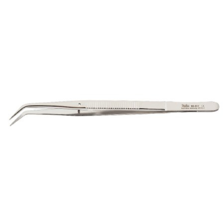 Dental Forceps