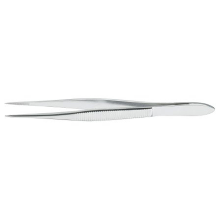 Splinter Forceps McKesson Argent™ Francis 3-1/2 Inch Length Surgical Grade Stainless Steel NonSterile NonLocking Thumb Handle Straight Circular Paddle, Ring Tip - M-487434-3396 - Each