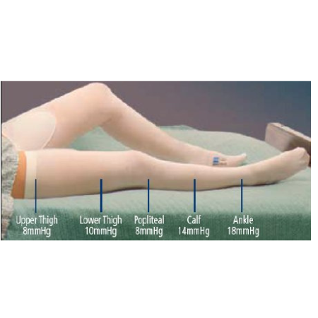 Cardinal Anti-embolism Stocking T.E.D.™ Thigh High 2X-Large / Short White Inspection Toe - M-637548-3877 - Pair