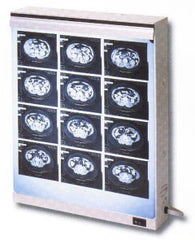 Wolf X-Ray Illuminator Econoline 3 Bank Wall Mount 17 X 42 Inch White