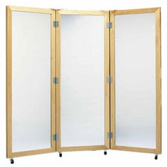 Adult Posture Mirrors - Axiom Medical Supplies
