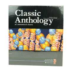 Anatomical Chart Series