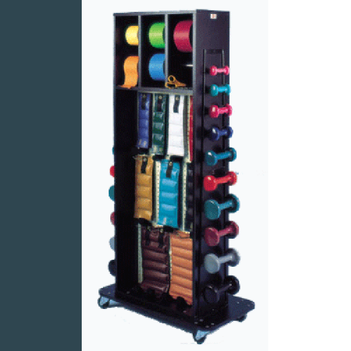Weight Rack Camera Combination Weight Rack with Mirror – Axiom Medical Supplies