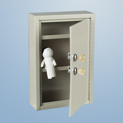 Slim-Line Narcotic Cabinet, 2 Locks, 1 Door, 8x12x2 H-3706-01-20433