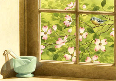 Spring Dogwood Window Print H-PF581-13800