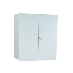 Wall Cabinet with Locking Overhang Doors, 24 Inch Wide