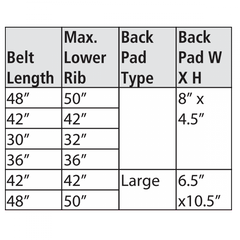 C.A.S.H. (Cruciform Anterior Spinal Hyperextension Orthosis)
