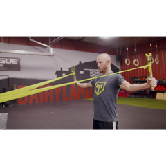 The Pronator (New Version)