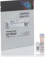 Molecular BioProducts VersaClosure™ Tube Closure LDPE Inside Tube / Over Rim Blue For 10 mm / 12 mm / 13 mm / 16 mm Test Tubes NonSterile - M-1174976-1711 - Case of 10000